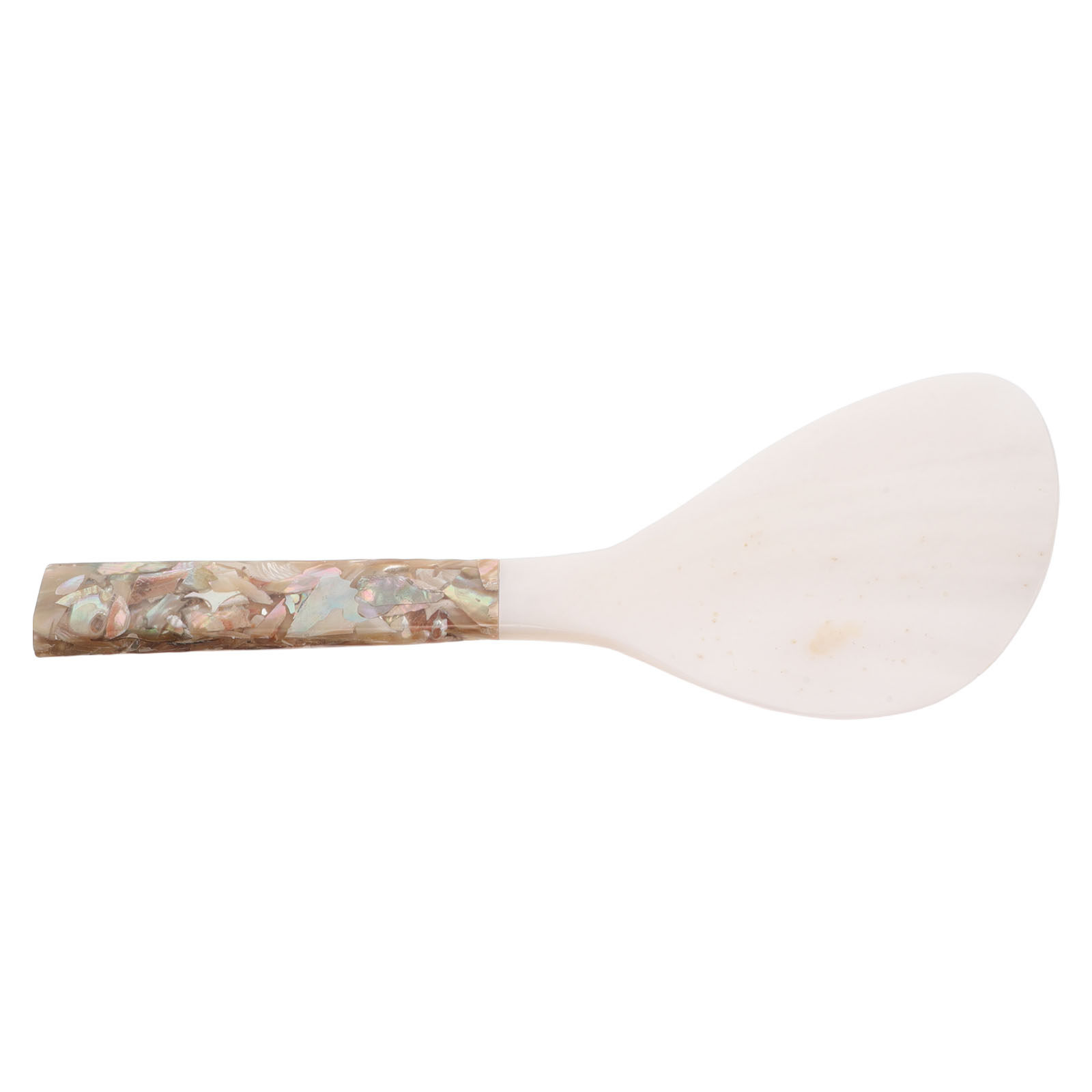Meal Prep Rice - Shell-Inspired Rice Paddle Non Stick Serving